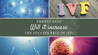 What is Embryo Glue and will it increase the success rate of IVF [upl. by Itteb]