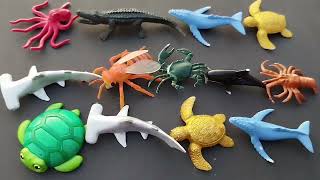 fun with Kids Animal Toys  Learn Animal Names l Learn Animal Names In 2 Minutes l Toys Collection [upl. by Persis]