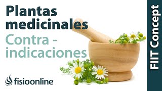 Posibles reacciones al tratamiento con plantas medicinales y contraindicaciones [upl. by Bensen946]