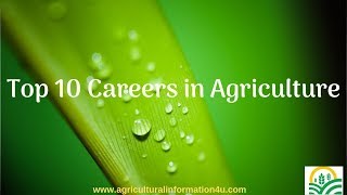 TOP 10 CAREERS IN AGRICULTURE [upl. by Tarfe]