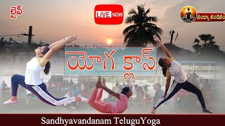 daily yoga for weight lose Forward bend practice Sandhyavandanam yoga [upl. by Keldon544]