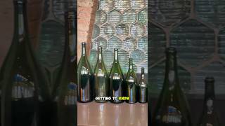 Cava winery in barcelona 🍾 cava sparklingwine codorniu holidays catalan tour bcn planes [upl. by Gurevich]