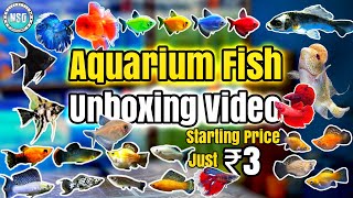 Gold Fish Rs 12 Available nsgfishpoininvellore goldfish mollyfish vellore aquariumshop nsg [upl. by Rengaw]