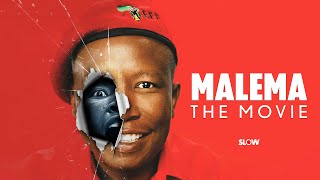 The Julius Malema Paradox [upl. by Trakas707]