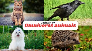 Omnivores Animals  Animals Names for Kids  Educational video [upl. by Niletac]