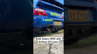 Enjoy my built 2004 WRX with 272 Kelford cams on idle 😁 subaru kelford volontemotorsports [upl. by Jacinthe]