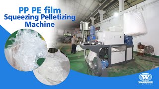 1001000kgh Plastic PP PE Film Squeezing Pelletizing Drying Granulator Machine for China Customer [upl. by Nittirb]