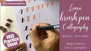 Learn Brush Pen Calligraphy for Beginners  Basic Strokes Tutorial  FREE Printable Practice Sheet [upl. by Hsara956]