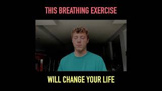 1 Minute Breathing Exercise [upl. by Ikuy]