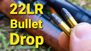 22LR Bullet Drop  Demonstrated and Explained [upl. by Taffy]