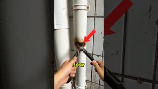 Fix Your Damage Pipe in Minutes 😳 [upl. by Mathre961]