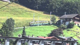 Train Wengen [upl. by Ybbil]