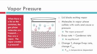 Evaporation Vapor Pressure and Boiling [upl. by Ives]