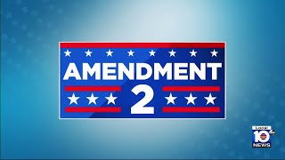 Vote 2024 What to know about Amendment 2 [upl. by Latoniah959]