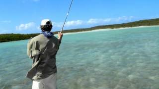 Trophy Bone Fish in Exuma Island [upl. by Derrick]