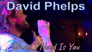 David Phelps  What I Need Is You from Freedom Official Music Video [upl. by Sherrard]