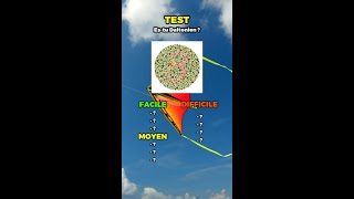 TEST daltonisme  10 étapes test daltonisme testdevue [upl. by Eelarual232]