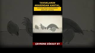 Tavukların Arasından Kartal Koyunların Arasından Arslan Çıkmaz [upl. by Jerol]