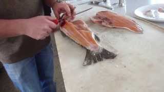 How to Fillet Brown Trout  Tips and Techniques by Knifetechnz [upl. by Inoue]