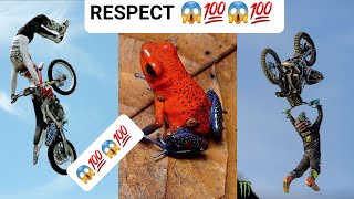 Respect video⚡😱🔥 like a boss compilation 🍒💯🍒  amazing people 🌌🤯🌌 [upl. by Dugas]