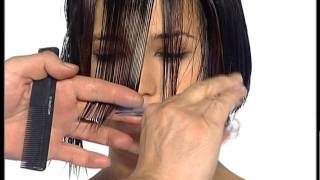 abc  Cutting Hair The Sassoon Way Promo [upl. by Leirua]