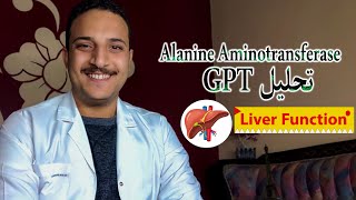 ما هو تحليل انزيم الكبد GPT و اسباب ارتفاع انزيم Alanine aminotransferase فى الدم  انزيمات الكبد [upl. by Ahkihs]