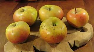 Roxbury Russet Apple Profile and Taste Test [upl. by Nhoj]