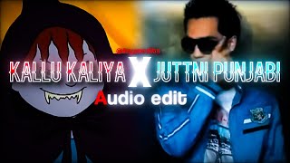 Kallu Kaliya x Juttni Punjabi  Slowed   Copyright free song  Slowed and reverb song  4ryan [upl. by Mcconaghy621]