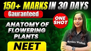 150 Marks Guaranteed ANATOMY OF FLOWERING PLANTS  Quick Revision 1Shot  Botany for NEET [upl. by Anwahsar]