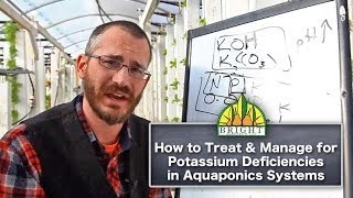 Potassium in Aquaponics 4 of 4  Managing Potassium [upl. by Mahla]