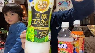 Calpis Mellow Muscat Grape Soda  Japanese Grape Drink  Obscure Cola [upl. by Ecnesse900]