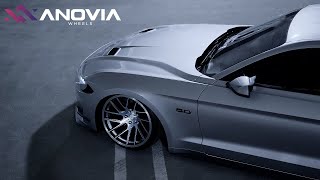 Bagged Ford Mustang GT  Anovia Elders 19x117 [upl. by Jat]