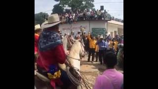 Toro De Petate Ometepec Guerrero 09112016 [upl. by Irme954]