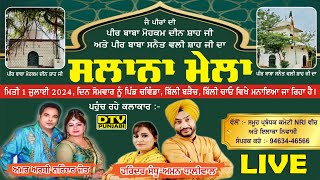 LIVE Salana Mela Village Billi Braich Chawinda Billi Chow  01 JULY 2024  DTV Punjabi [upl. by Lira182]