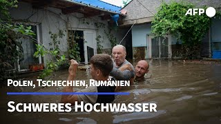 Schwere Überschwemmungen in Polen und Tschechien  AFP [upl. by Cyn241]