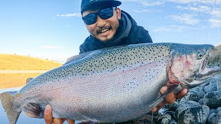 HUGE RAINBOW TROUT in New Zealand [upl. by Ahsap]