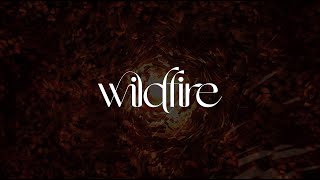 RÜFÜS DU SOL  Wildfire Official Audio [upl. by Walsh]