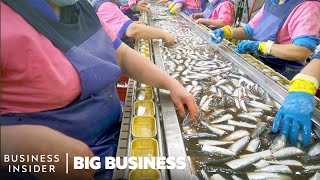 How The World’s LongestRunning Sardine Cannery Packs 60 Million Cans A Year  Big Business [upl. by Faucher]