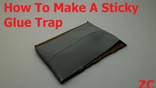 How To Make A Sticky Glue Trap For Pests And Insects [upl. by Poock641]