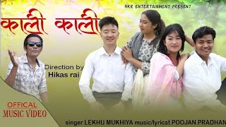 Kali KaliNew Nepali Song 2024Lekhu MukhiyaGaurab Salina  Mukesh Shrijana [upl. by Caleb]