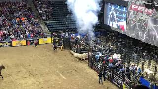 Jake Gowdy Bull Ride PBR Grand Rapids [upl. by Lombardy]