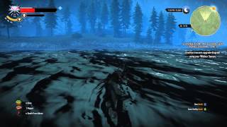 The Witcher 3 Act 2  Wolven Steel Sword Enhanced Enhanced Wolven Trousers [upl. by Nasah]