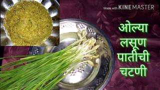 ओल्या लसणाच्या पातीची चटणी  lasanachya patichi chutney in marathi  garlic chutney recipe [upl. by Shivers]