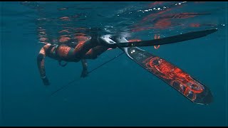 Spearfishing Shetland Part 3  Wetsuit lube test amp Pole Spear success [upl. by Cynar315]