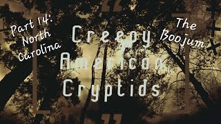 The Boojum of North Carolina Creepy American Cryptids Part 14 [upl. by Orodoet43]