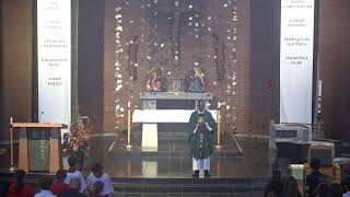 Corpus Christi Live Mass November 2024 [upl. by Esiole]