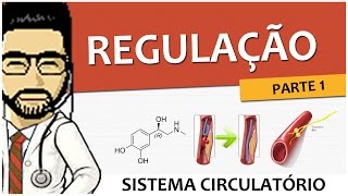 Sistema Circulatório 06  Regulação  Parte 1 Vídeo Aula [upl. by Dadinirt]