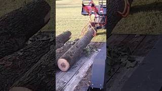 Draggin Logs From The Trailer firewood hickory [upl. by Minor940]