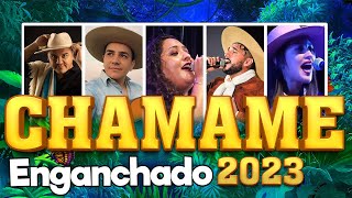 Chamame Enganchado 2023🎶 Sele Vera Lázaro Caballero Hernán Arias y más [upl. by Yhtimit]