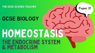 GCSE Biology Homeostasis an overview  AQA OCR Edexcel [upl. by Daitzman]